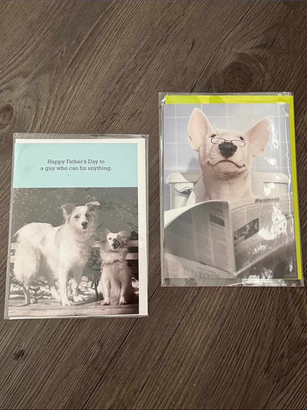 Dog Father’s Day Card Pack - Yellow and Blue -